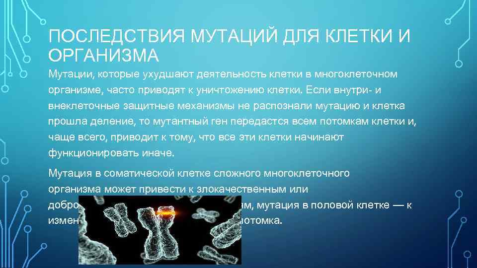 ПОСЛЕДСТВИЯ МУТАЦИЙ ДЛЯ КЛЕТКИ И ОРГАНИЗМА Мутации, которые ухудшают деятельность клетки в многоклеточном организме,