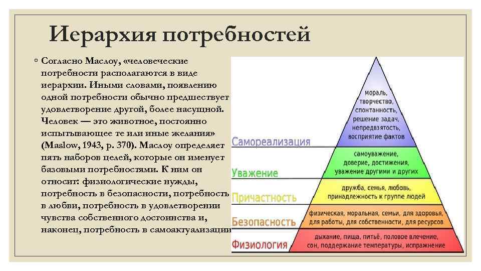 Иерархия потребностей ◦ Согласно Маслоу, «человеческие потребности располагаются в виде иерархии. Иными словами, появлению