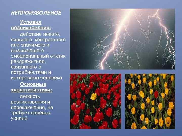 НЕПРОИЗВОЛЬНОЕ Условия возникновения: действие нового, сильного, контрастного или значимого и вызывающего эмоциональный отклик раздражителя,