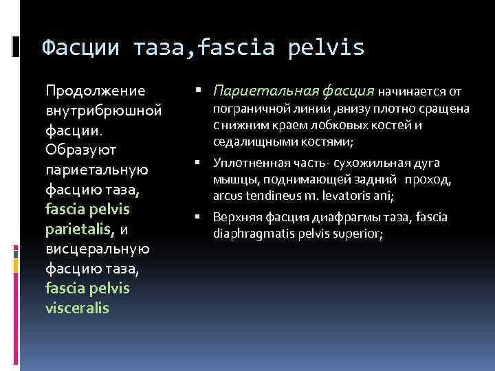 Фасции таза, fascia pelvis Продолжение внутрибрюшной фасции. Образуют париетальную фасцию таза, fascia pelvis parietalis,