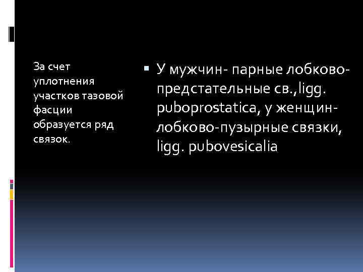 За счет уплотнения участков тазовой фасции образуется ряд связок. У мужчин- парные лобковопредстательные св.