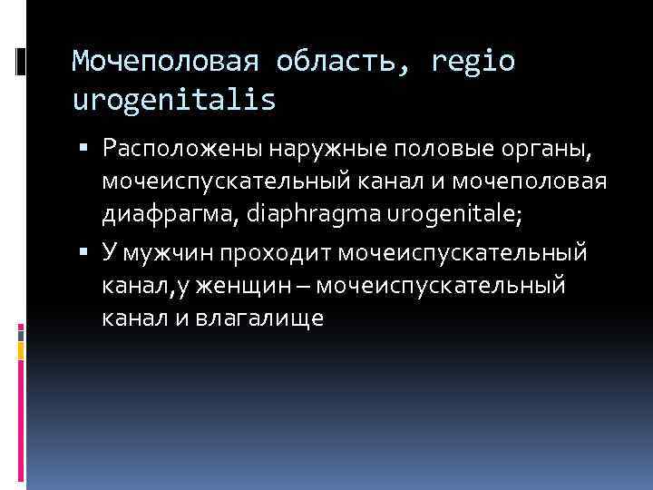 Мочеполовая область, regio urogenitalis Расположены наружные половые органы, мочеиспускательный канал и мочеполовая диафрагма, diaphragma