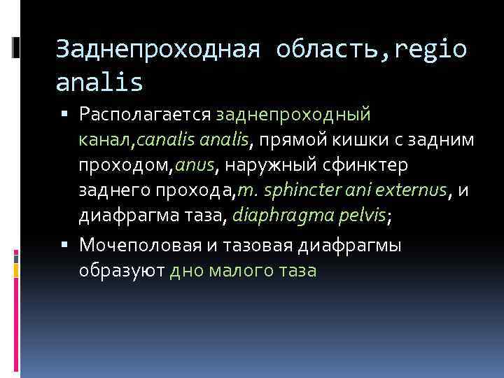 Заднепроходная область, regio analis Располагается заднепроходный канал, canalis, прямой кишки с задним проходом, anus,