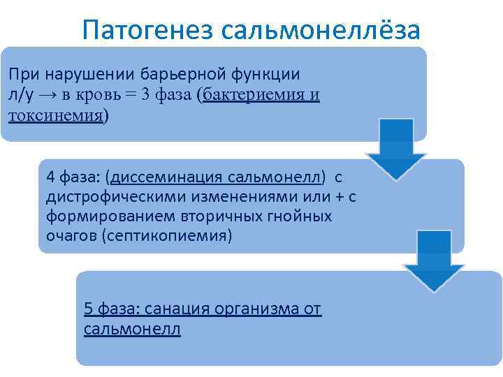 Патогенез сальмонеллёза При нарушении барьерной функции л/у → в кровь = 3 фаза (бактериемия