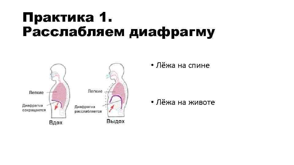 Практика 1. Расслабляем диафрагму • Лёжа на спине • Лёжа на животе 