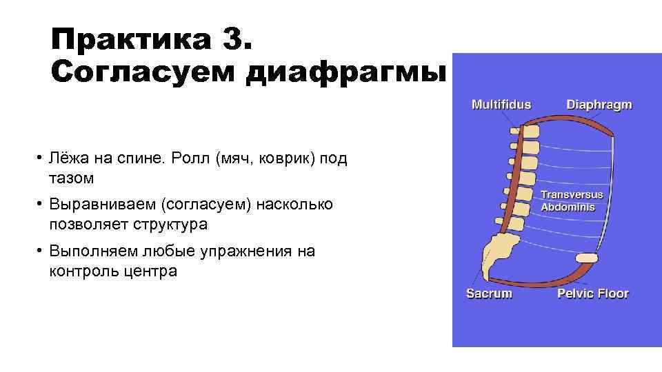 Практика 3. Согласуем диафрагмы • Лёжа на спине. Ролл (мяч, коврик) под тазом •