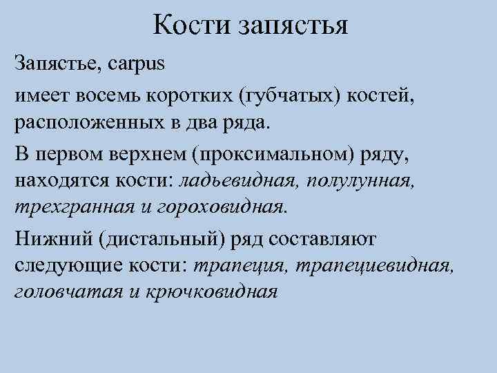 Кости запястья Запястье, carpus имеет восемь коротких (губчатых) костей, расположенных в два ряда. В