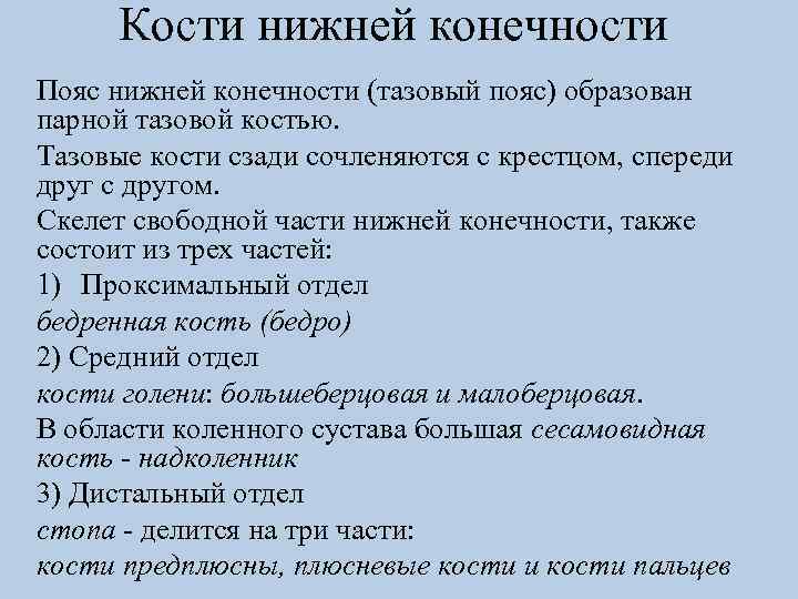 Кости нижней конечности Пояс нижней конечности (тазовый пояс) образован парной тазовой костью. Тазовые кости