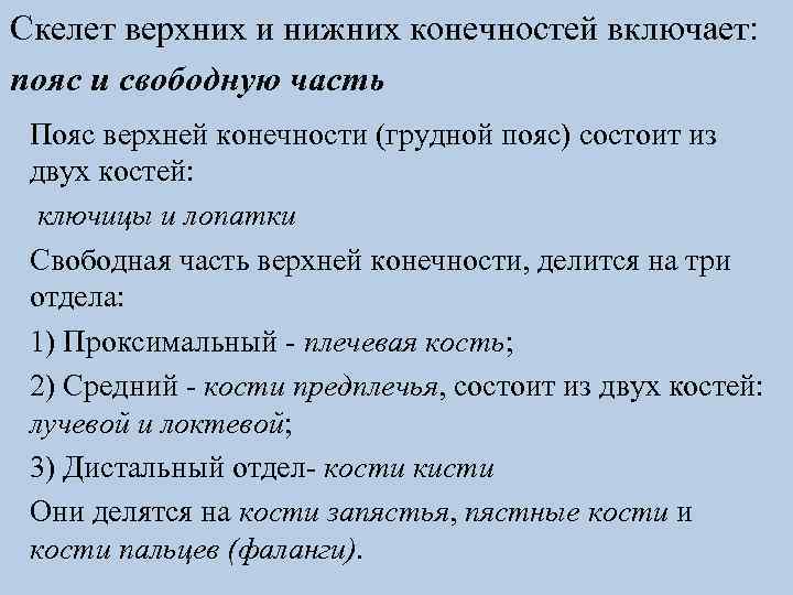 Скелет верхних и нижних конечностей включает: пояс и свободную часть Пояс верхней конечности (грудной