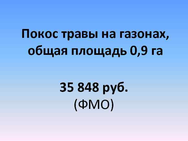 Покос травы на газонах, общая площадь 0, 9 га 35 848 руб. (ФМО) 