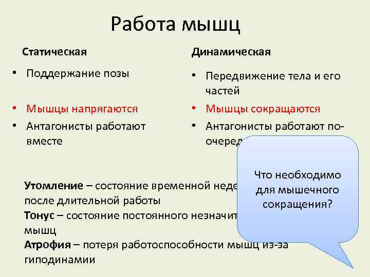 Чем отличается статическая работа мышц от динамической