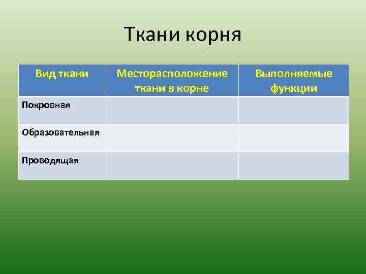 Ткани корня Вид ткани Покровная Образовательная Проводящая Месторасположение ткани в корне Выполняемые функции 