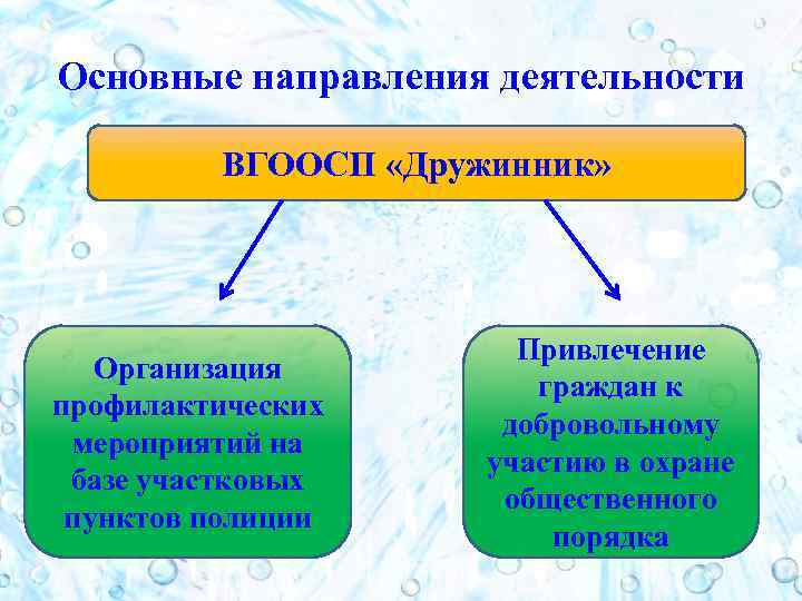 Основные направления деятельности ВГООСП «Дружинник» Организация профилактических мероприятий на базе участковых пунктов полиции Привлечение