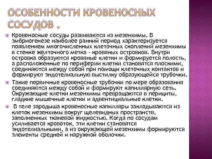  Кровеносные сосуды развиваются из мезенхимы. В эмбриогенезе наиболее ранний период характеризуется появлением многочисленных
