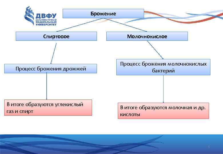 Схема классификации молока