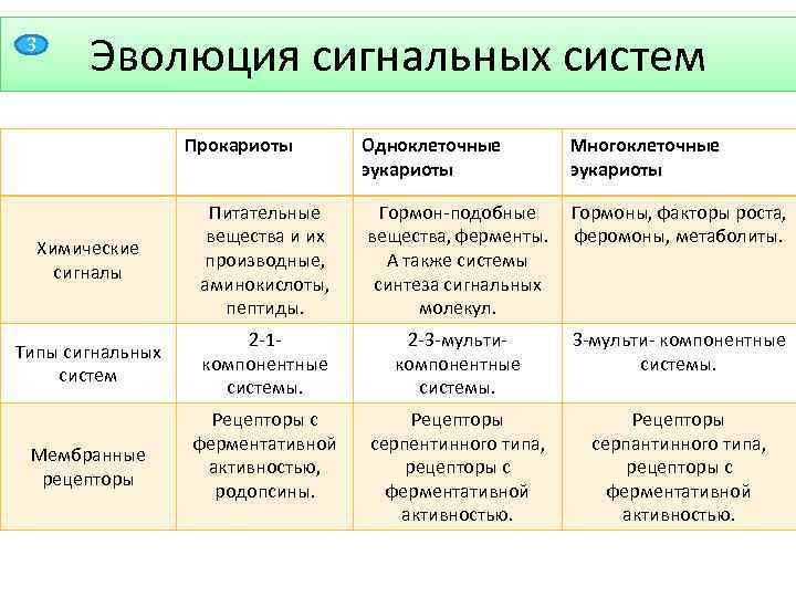 3 Эволюция сигнальных систем Прокариоты Одноклеточные эукариоты Многоклеточные эукариоты Химические сигналы Питательные вещества и