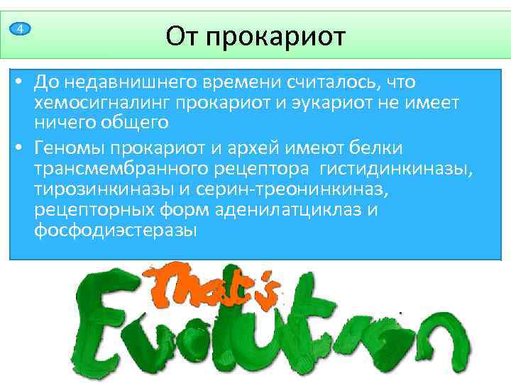 4 От прокариот • До недавнишнего времени считалось, что хемосигналинг прокариот и эукариот не