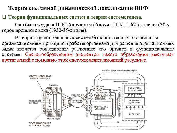 Теория системной динамической