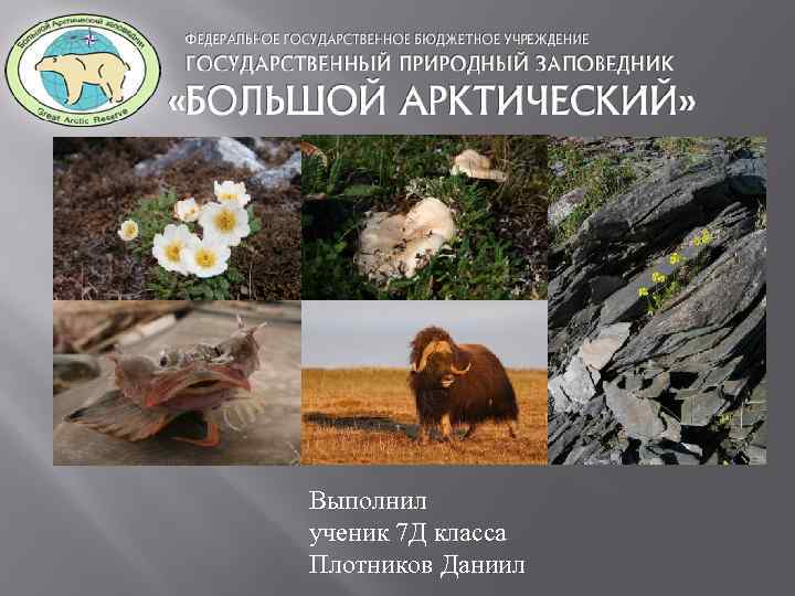 Выполнил ученик 7 Д класса Плотников Даниил 