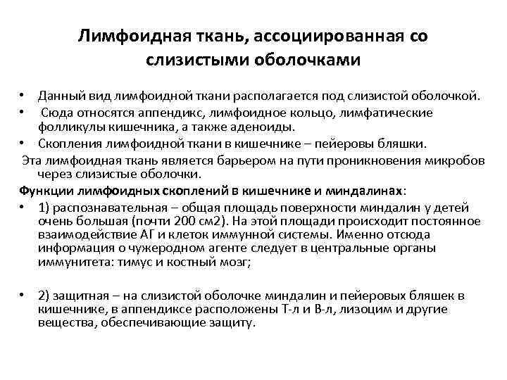 Лимфоидная ткань, ассоциированная со слизистыми оболочками • Данный вид лимфоидной ткани располагается под слизистой