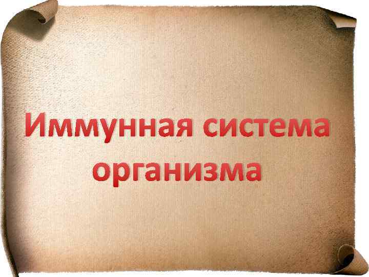 Иммунная система организма 