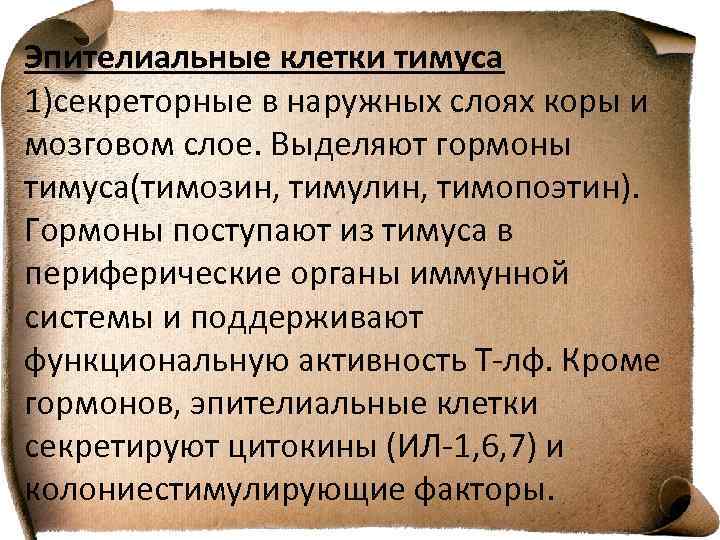 Эпителиальные клетки тимуса 1)секреторные в наружных слоях коры и мозговом слое. Выделяют гормоны тимуса(тимозин,