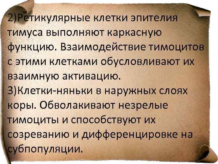 2)Ретикулярные клетки эпителия тимуса выполняют каркасную функцию. Взаимодействие тимоцитов с этими клетками обусловливают их