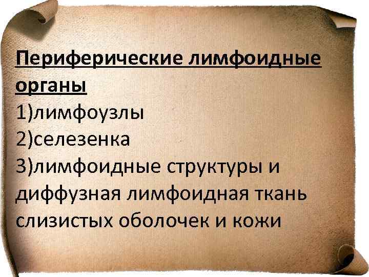 Периферические лимфоидные органы 1)лимфоузлы 2)селезенка 3)лимфоидные структуры и диффузная лимфоидная ткань слизистых оболочек и