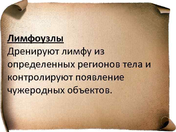 Лимфоузлы Дренируют лимфу из определенных регионов тела и контролируют появление чужеродных объектов. 