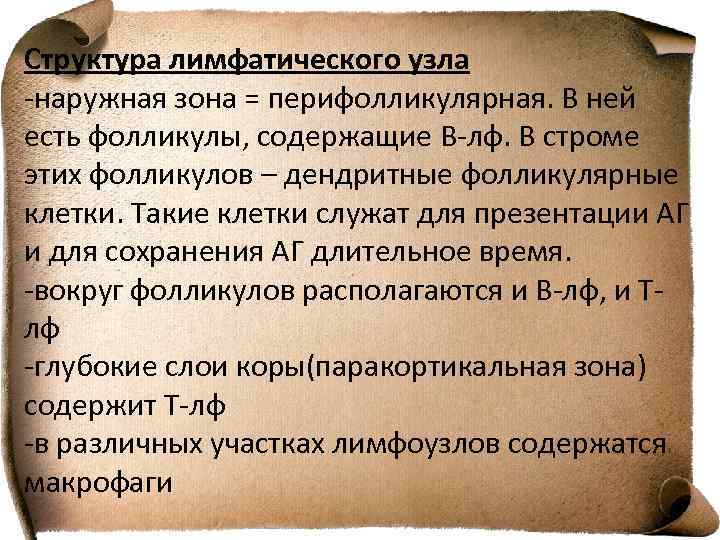 Структура лимфатического узла -наружная зона = перифолликулярная. В ней есть фолликулы, содержащие В-лф. В