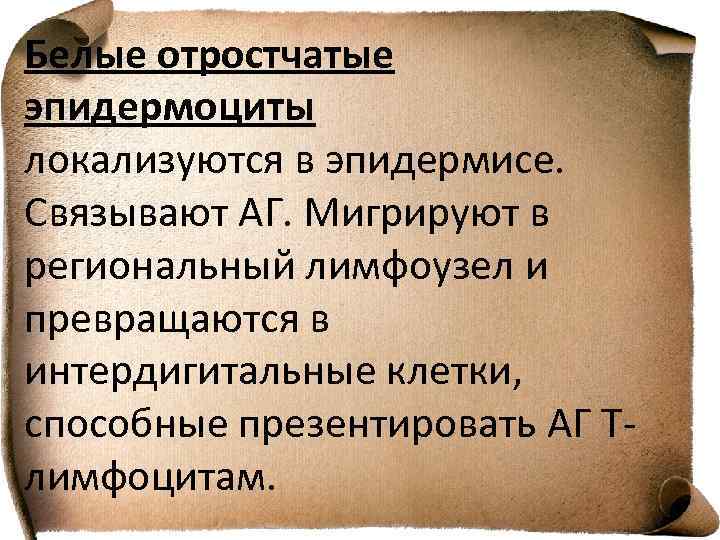 Белые отростчатые эпидермоциты локализуются в эпидермисе. Связывают АГ. Мигрируют в региональный лимфоузел и превращаются