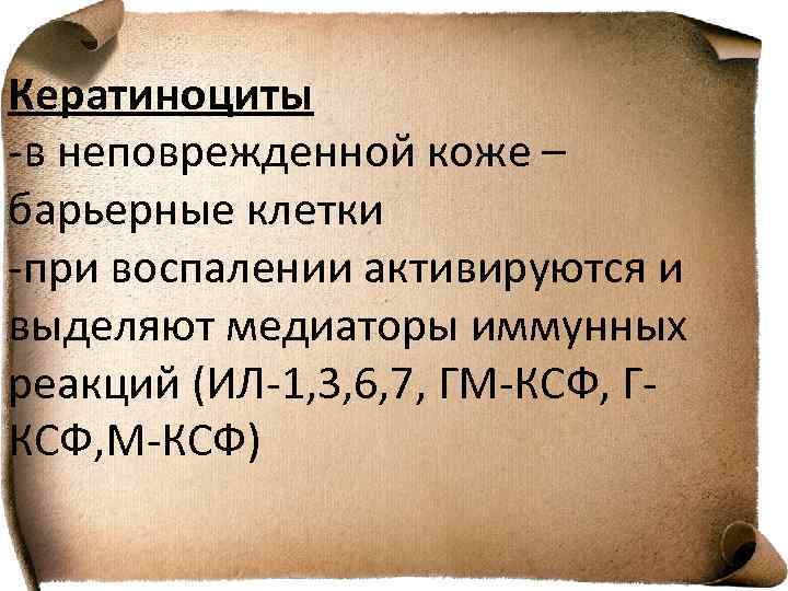 Кератиноциты -в неповрежденной коже – барьерные клетки -при воспалении активируются и выделяют медиаторы иммунных