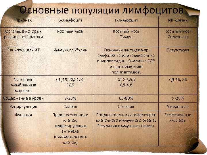 Основные популяции лимфоцитов Признак В-лимфоцит Т-лимфоцит NK-клетки Органы, в которых развиваются клетки Костный мозг