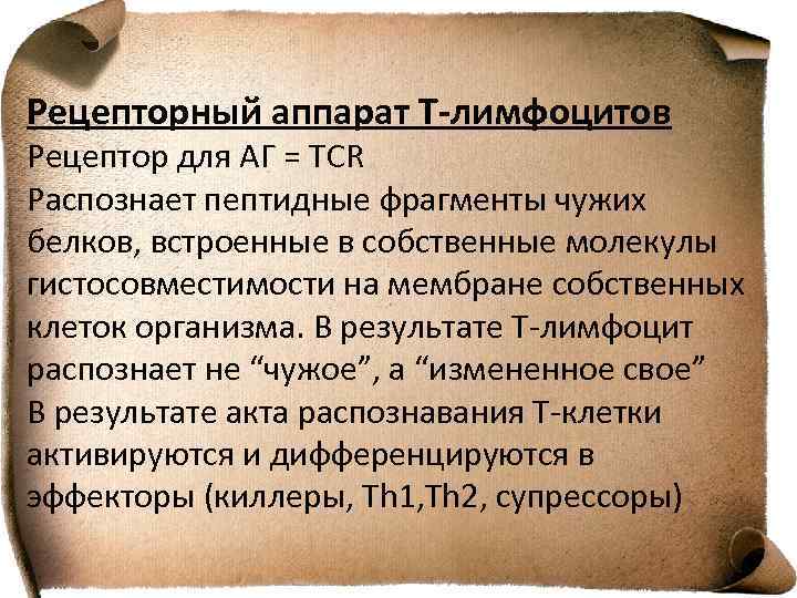 Рецепторный аппарат Т-лимфоцитов Рецептор для АГ = TCR Распознает пептидные фрагменты чужих белков, встроенные