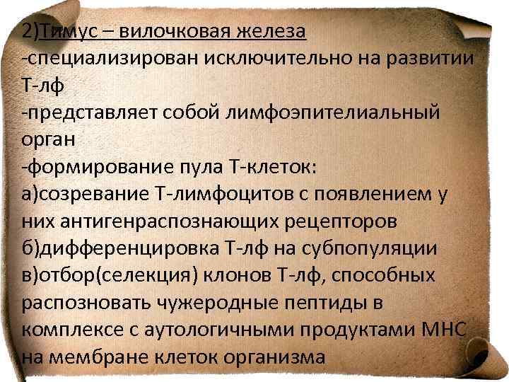 2)Тимус – вилочковая железа -специализирован исключительно на развитии Т-лф -представляет собой лимфоэпителиальный орган -формирование