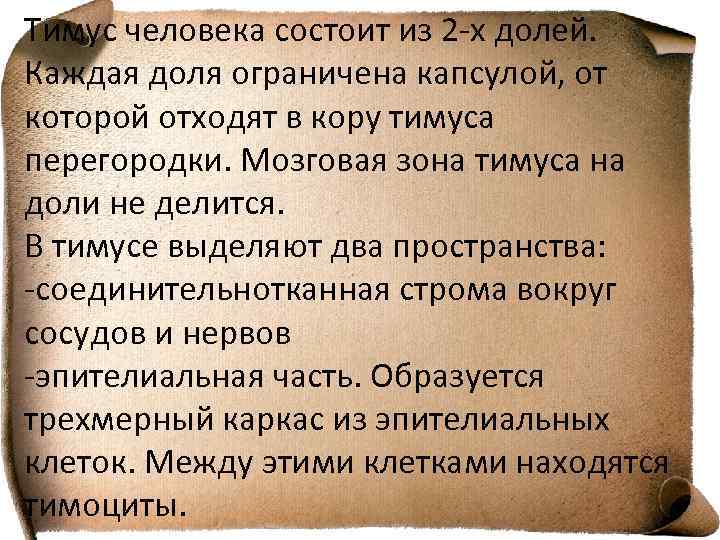 Тимус человека состоит из 2 -х долей. Каждая доля ограничена капсулой, от которой отходят