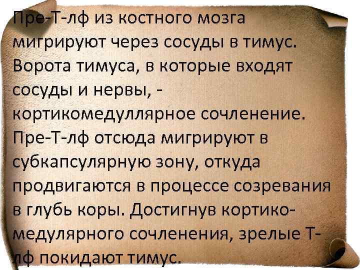 Пре-Т-лф из костного мозга мигрируют через сосуды в тимус. Ворота тимуса, в которые входят