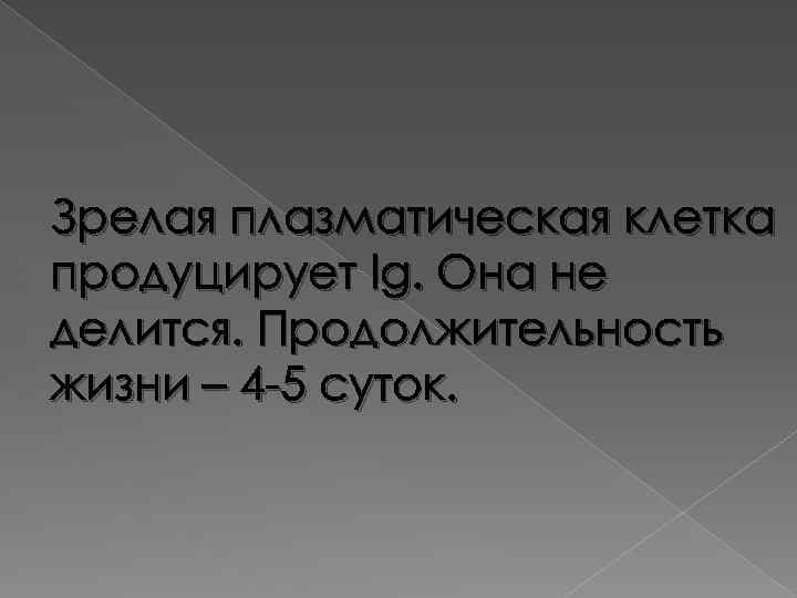 Зрелая плазматическая клетка продуцирует Ig. Она не делится. Продолжительность жизни – 4 -5 суток.