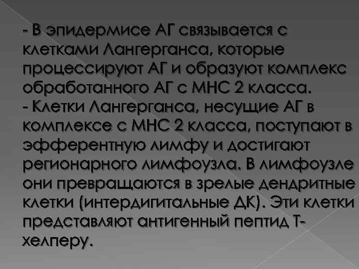 - В эпидермисе АГ связывается с клетками Лангерганса, которые процессируют АГ и образуют комплекс