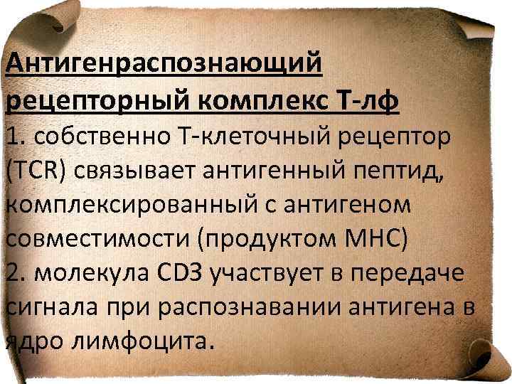 Антигенраспознающий рецепторный комплекс Т-лф 1. собственно Т-клеточный рецептор (TCR) связывает антигенный пептид, комплексированный с