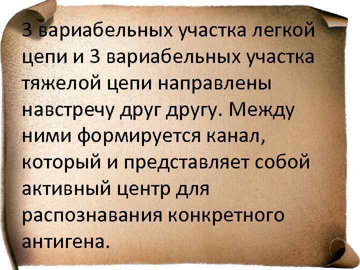 3 вариабельных участка легкой цепи и 3 вариабельных участка тяжелой цепи направлены навстречу другу.