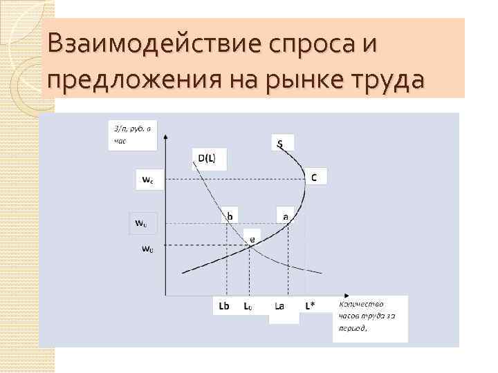 Взаимодействие спроса и предложения на рынке труда 