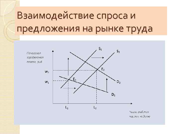 Взаимодействие спроса и предложения на рынке труда 