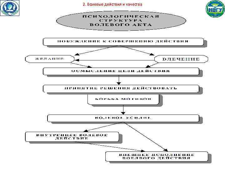 2. Волевые действия и качества 
