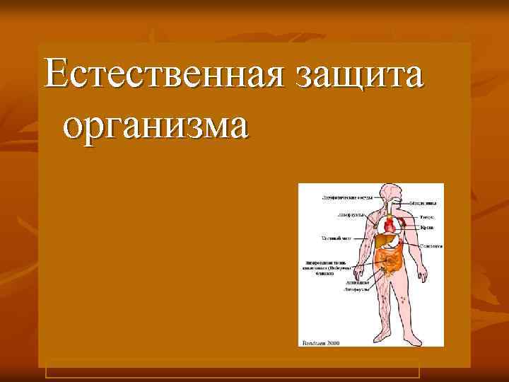 Естественная защита. Естественные защитные системы организма. Система защиты в организме человека. Естественные системы обеспечения защиты организма человека.