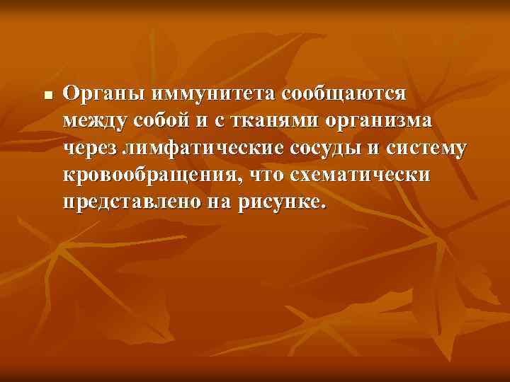 n Органы иммунитета сообщаются между собой и с тканями организма через лимфатические сосуды и