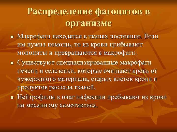 Распределение фагоцитов в организме n n n Макрофаги находятся в тканях постоянно. Если им