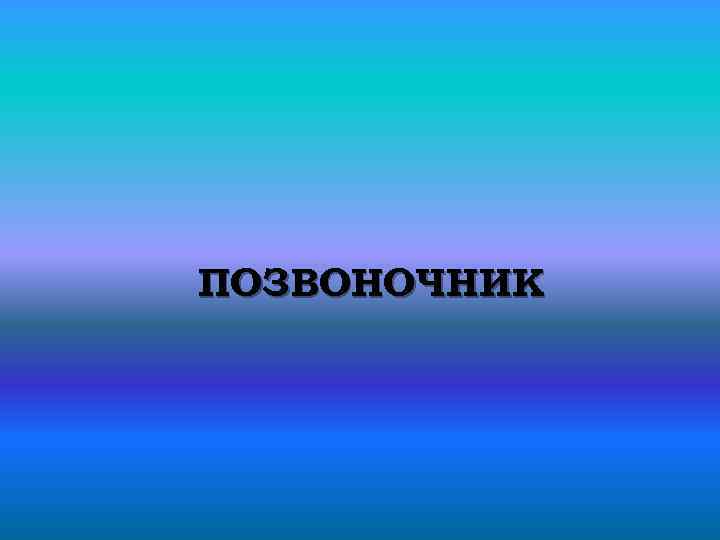 ПОЗВОНОЧНИК 