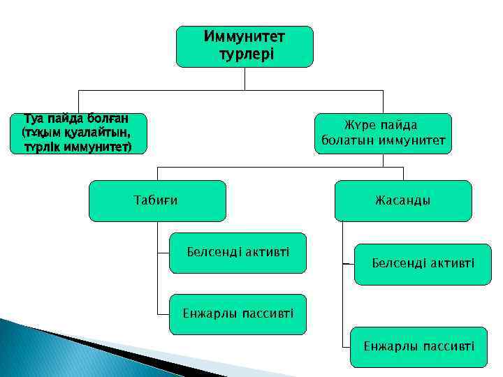 Иммунитет турлері Туа пайда болған (тұқым қуалайтын, түрлік иммунитет) Жүре пайда болатын иммунитет Табиғи