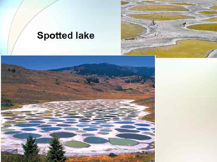 Spotted lake 